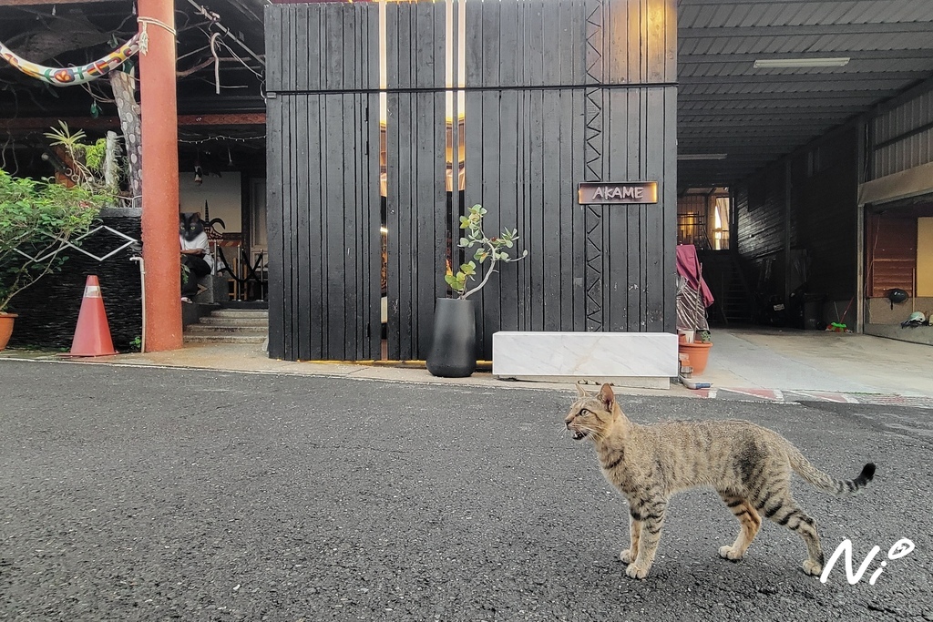 202509 屏東霧台 AKAME