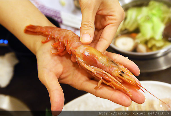 IMG_6826.JPG IMG_6826.JPG