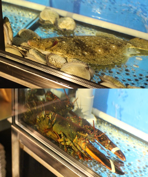 【台北大安】宗壽司－送三套800套餐！食材新鮮美味，精緻無菜單料理，樣樣都美味，多種價位選擇（邀約、國父紀念館美食）