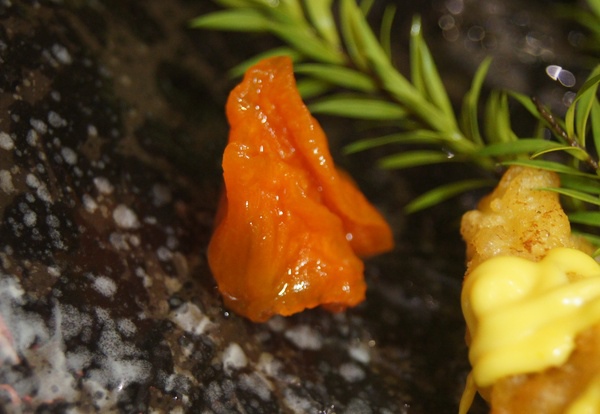 cgm71cf960af8087554af3d6f750c19c9c2607.jpg cgm71cf960af8087554af3d6f750c19c9c2607.jpg