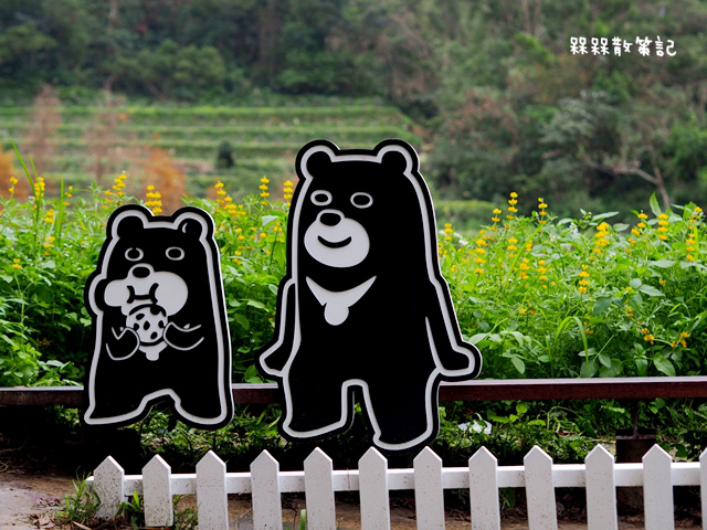 樟樹步道繽紛花季貓空閃閃淚光魯冰花