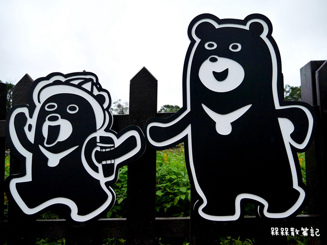 樟樹步道繽紛花季貓空閃閃淚光魯冰花