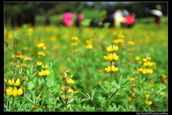 20150402貓空樟樹步道22