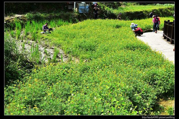 20150402貓空樟樹步道20