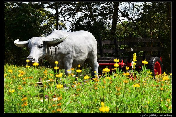 20150402貓空樟樹步道19