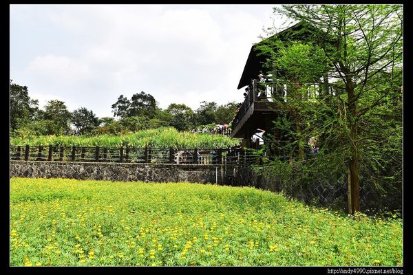 20150402貓空樟樹步道21
