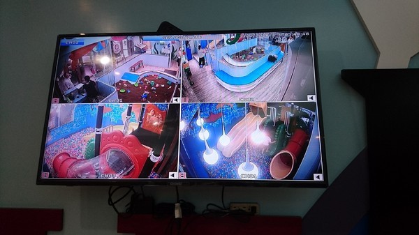 Young Lion 親子餐廳：高雄~Young Lion 親子餐廳~海底世界溜滑梯、決明子砂坑區、辦辦家酒~小朋友玩到欲罷不能~