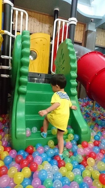 Young Lion 親子餐廳：高雄~Young Lion 親子餐廳~海底世界溜滑梯、決明子砂坑區、辦辦家酒~小朋友玩到欲罷不能~