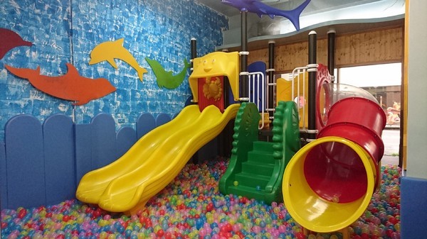 Young Lion 親子餐廳：高雄~Young Lion 親子餐廳~海底世界溜滑梯、決明子砂坑區、辦辦家酒~小朋友玩到欲罷不能~