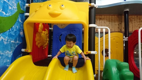 Young Lion 親子餐廳：高雄~Young Lion 親子餐廳~海底世界溜滑梯、決明子砂坑區、辦辦家酒~小朋友玩到欲罷不能~