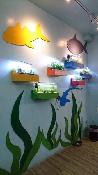 Young Lion 親子餐廳：高雄~Young Lion 親子餐廳~海底世界溜滑梯、決明子砂坑區、辦辦家酒~小朋友玩到欲罷不能~