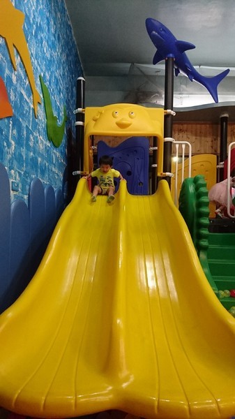 Young Lion 親子餐廳：高雄~Young Lion 親子餐廳~海底世界溜滑梯、決明子砂坑區、辦辦家酒~小朋友玩到欲罷不能~