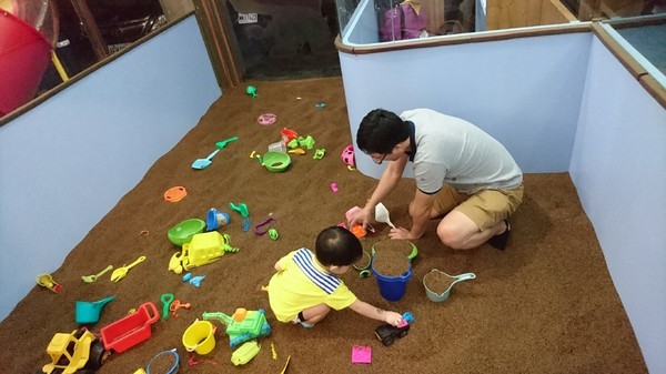 Young Lion 親子餐廳：高雄~Young Lion 親子餐廳~海底世界溜滑梯、決明子砂坑區、辦辦家酒~小朋友玩到欲罷不能~