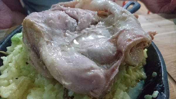 Young Lion 親子餐廳：高雄~Young Lion 親子餐廳~海底世界溜滑梯、決明子砂坑區、辦辦家酒~小朋友玩到欲罷不能~