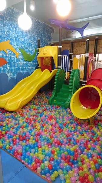 Young Lion 親子餐廳：高雄~Young Lion 親子餐廳~海底世界溜滑梯、決明子砂坑區、辦辦家酒~小朋友玩到欲罷不能~