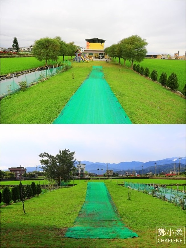 IMG_5000 (5)-1-1-1-1.jpg