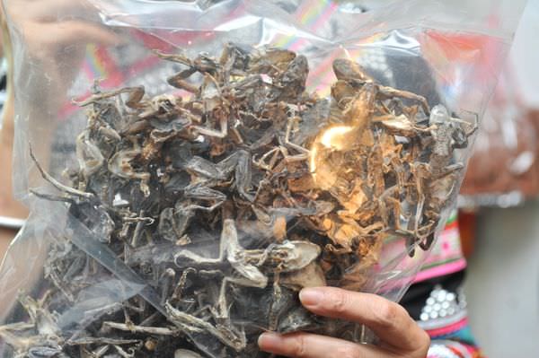 20170219_170222_0179