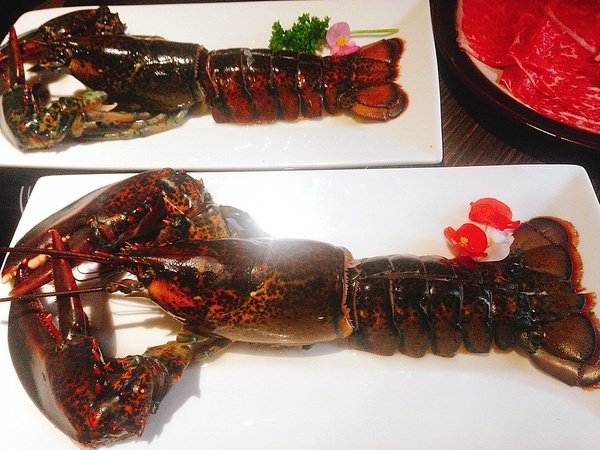 IMG_0756.JPG IMG_0756.JPG