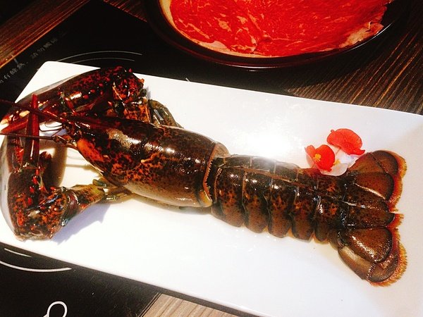 IMG_0752.JPG IMG_0752.JPG