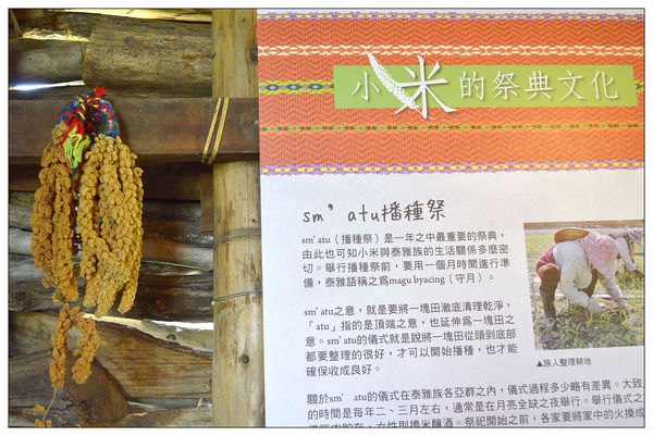 _DSC0071.JPG _DSC0071.JPG