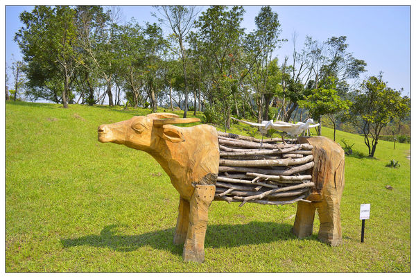 _DSC0061.JPG _DSC0061.JPG