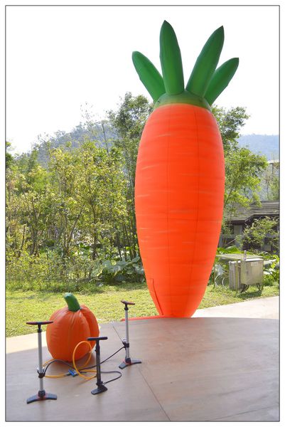 _DSC0152.JPG _DSC0152.JPG