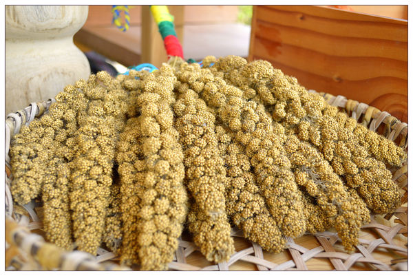 _DSC0096-1.jpg _DSC0096-1.jpg