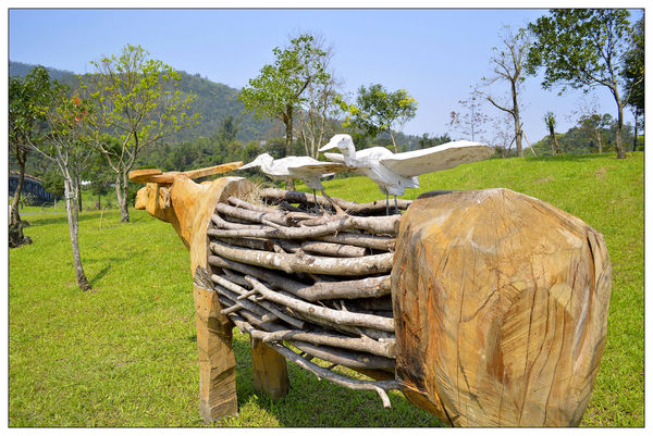 _DSC0062.JPG _DSC0062.JPG