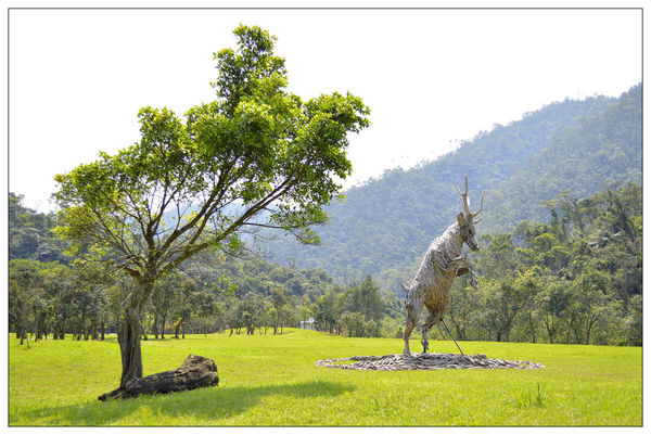 _DSC0121.JPG _DSC0121.JPG