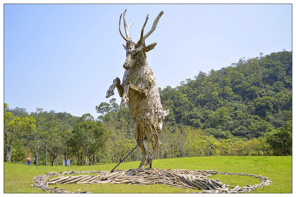 _DSC0117.JPG _DSC0117.JPG