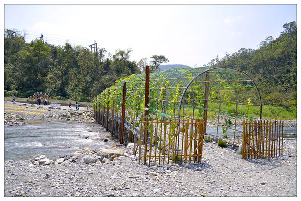 _DSC0222.JPG _DSC0222.JPG