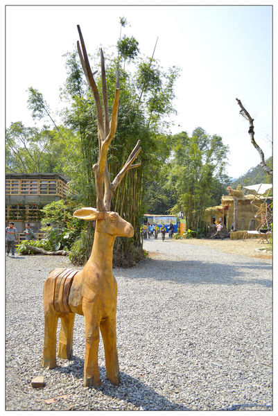 _DSC0026.JPG _DSC0026.JPG