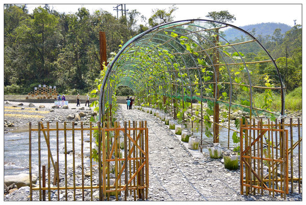 _DSC0221.JPG _DSC0221.JPG