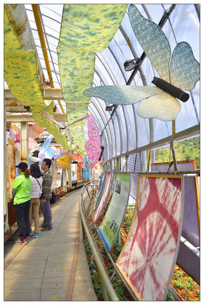 _DSC0166.JPG _DSC0166.JPG