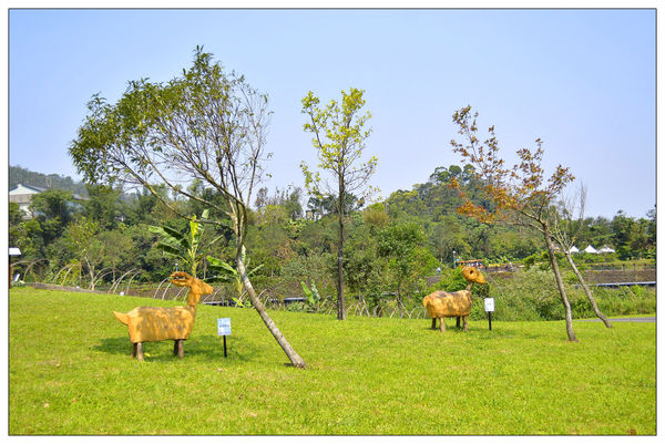 _DSC0057.JPG _DSC0057.JPG