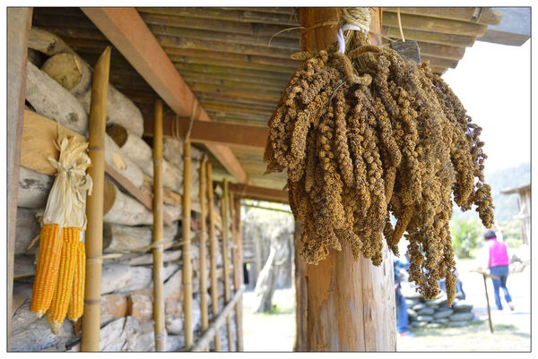 _DSC0089.JPG _DSC0089.JPG