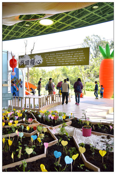 _DSC0158.JPG _DSC0158.JPG