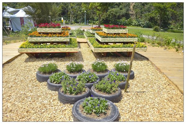 _DSC0196.JPG _DSC0196.JPG