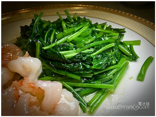 陸園1605-2.jpg 陸園1605-2.jpg