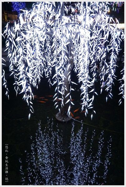 柳川藍帶水岸-夜晚-9.JPG 柳川藍帶水岸-夜晚-9.JPG