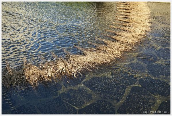 柳川藍帶水岸-白天-9.JPG 柳川藍帶水岸-白天-9.JPG