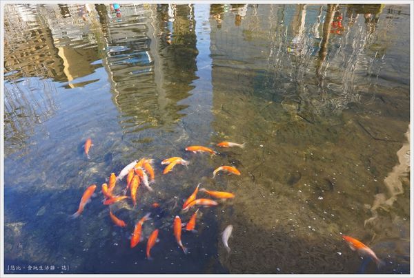 柳川藍帶水岸-白天-14.JPG 柳川藍帶水岸-白天-14.JPG