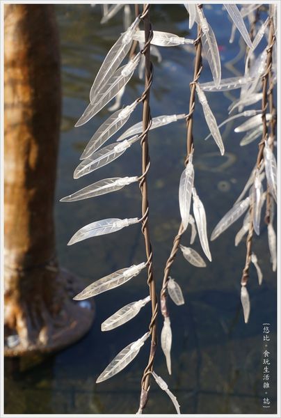 柳川藍帶水岸-白天-19.JPG 柳川藍帶水岸-白天-19.JPG