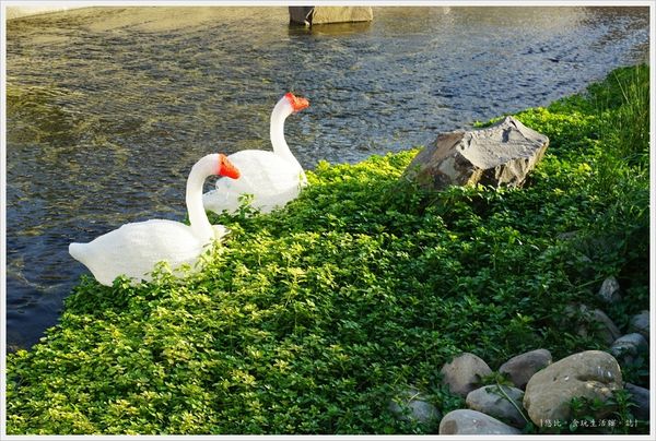 柳川藍帶水岸-白天-10.JPG 柳川藍帶水岸-白天-10.JPG