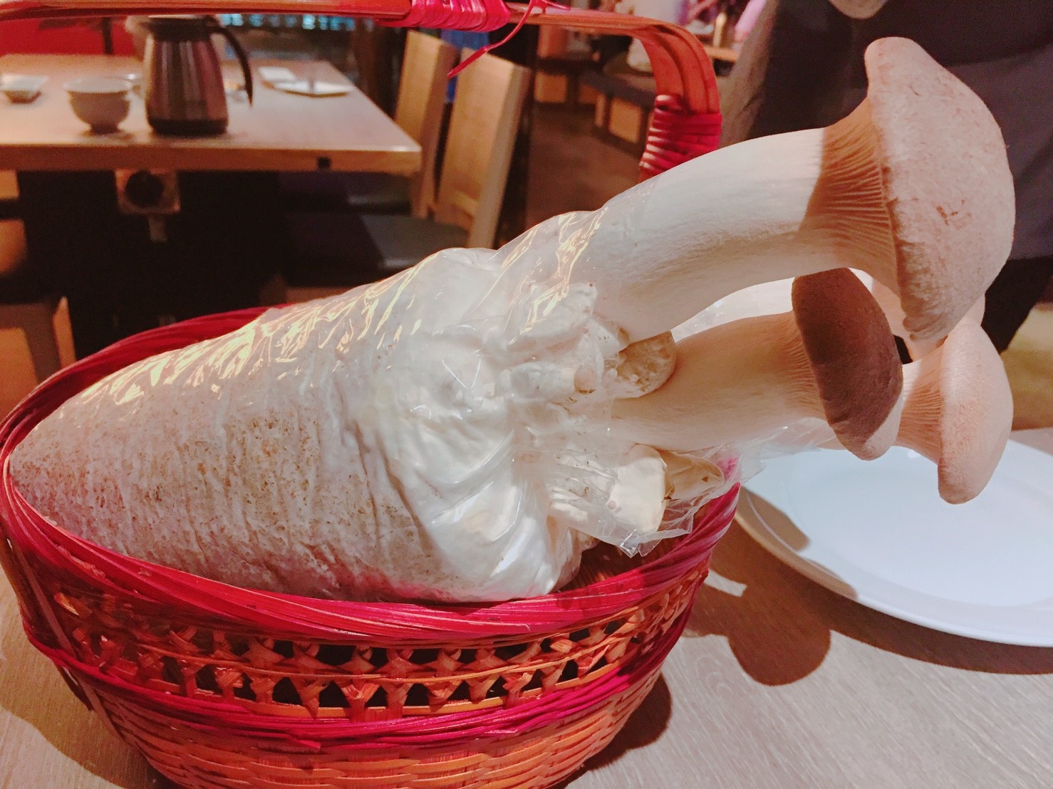 【台中】山鯨燒肉超美日式風格燒肉 店內還有提供和服穿讓你在櫻花下拍出百人追蹤的網美照