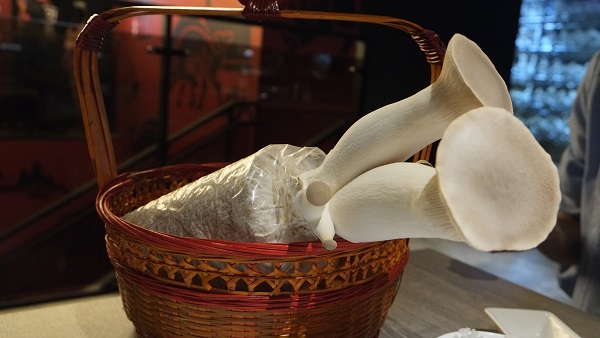 山鯨燒肉:台中北區日式燒肉-山鯨燒肉. 好吃好拍好停車空間環境有主題.茶六新進敵