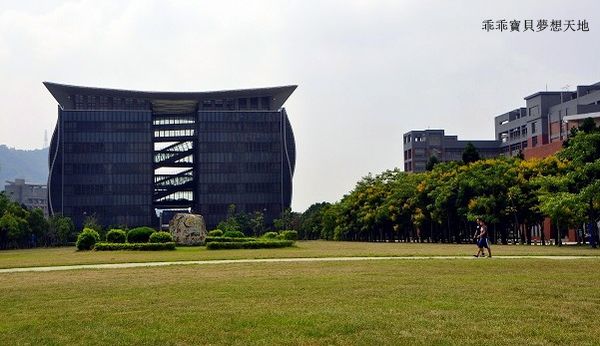 台北大學欒樹-11.JPG