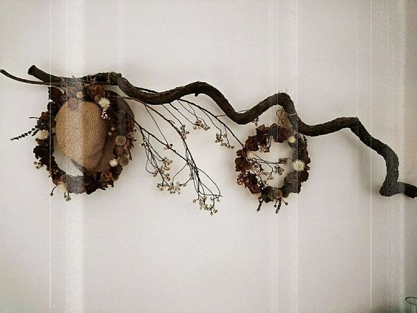 19250440_1550646951633655_1865848485414939731_o