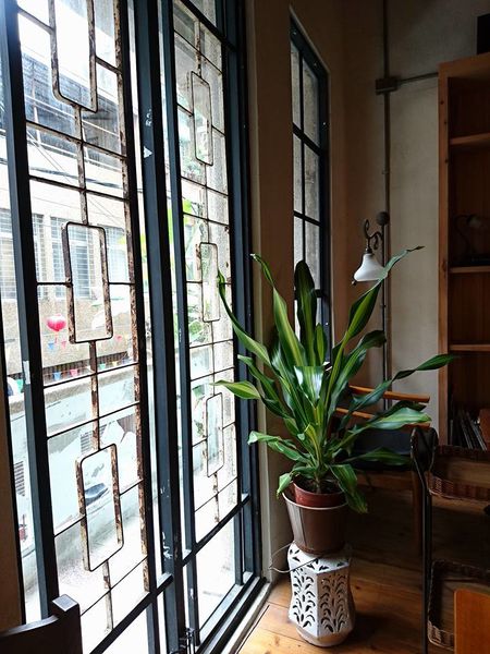 19224895_1537467482951602_1241031106320042471_n