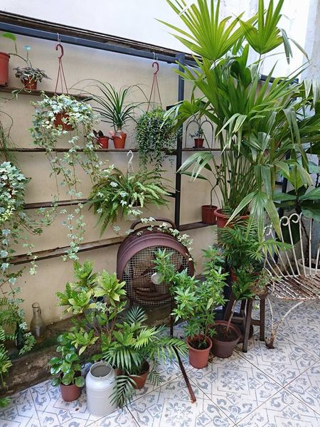 19424487_1549769431721407_2173479792742484382_n (1)